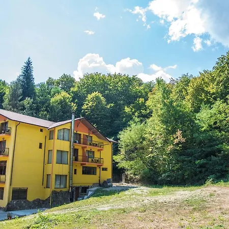 Hotel Trei Brazi Hotel 4*